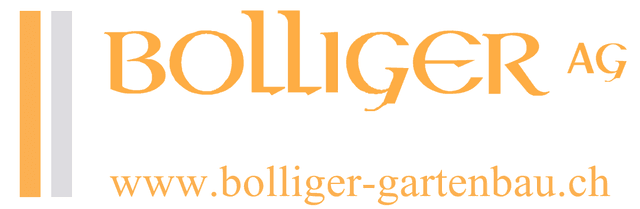 Bolliger